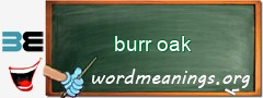 WordMeaning blackboard for burr oak